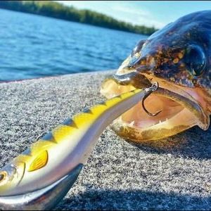 Meet your Posher, Tyler